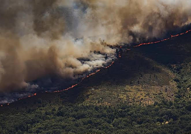 Por un futuro sin incendios: la fiscalidad que reclaman los gestores forestales